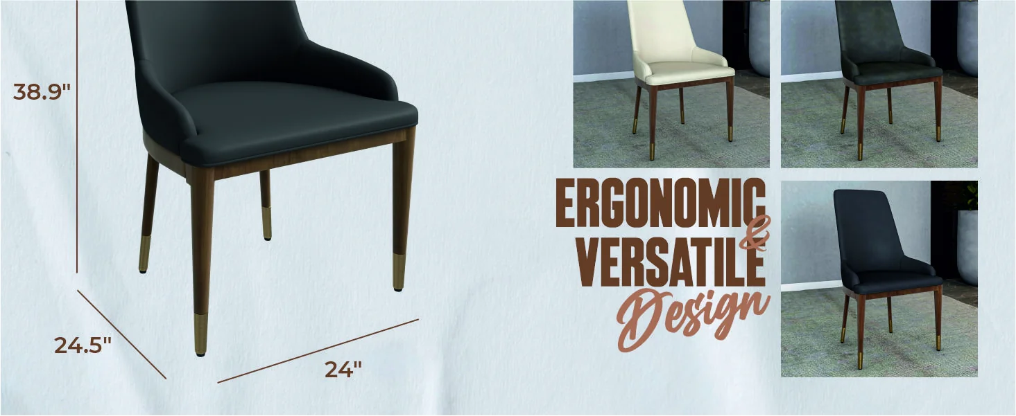 Viva Collection Modern Wooden Dining Chair in Dark Grey Set of 2