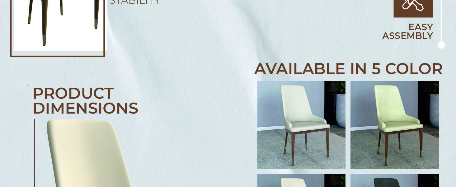 Viva Collection Modern Wooden Dining Chair in Light Toupe Set of 2