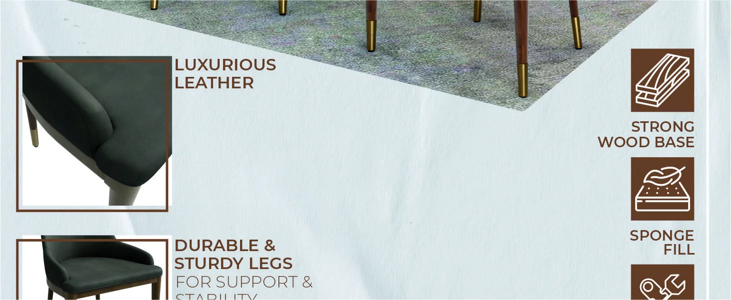 Viva Collection Modern Wooden Dining Chair in Mocha Brown Set of 4