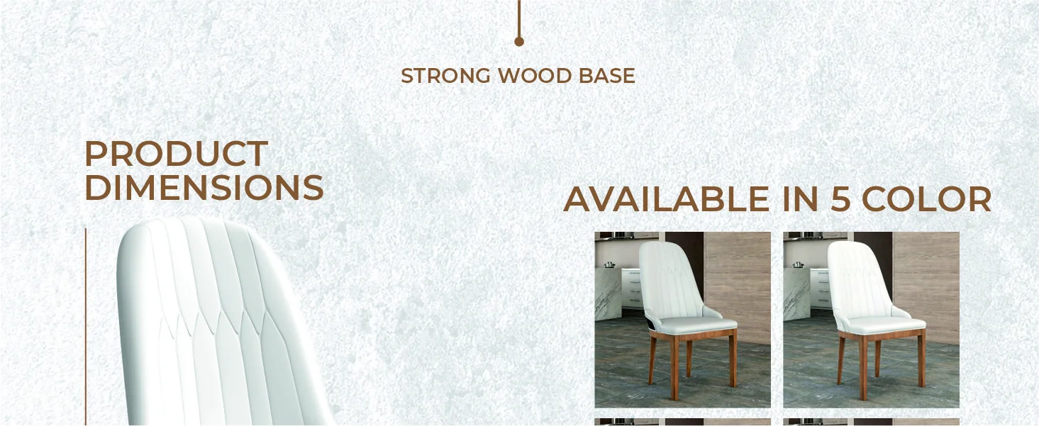 Verisma Collection Modern Wooden Dining Chair in White