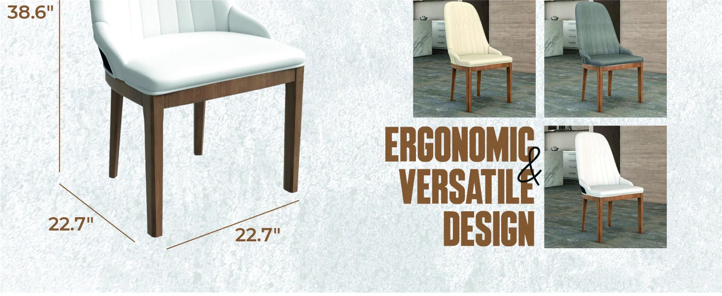 Verisma Collection Modern Wooden Dining Chair in White