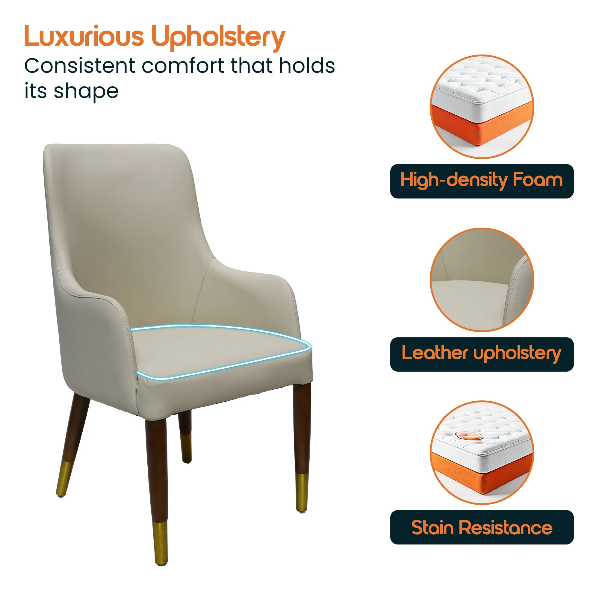 Viva Collection Modern Wooden Dining Arm Chair in Taupe