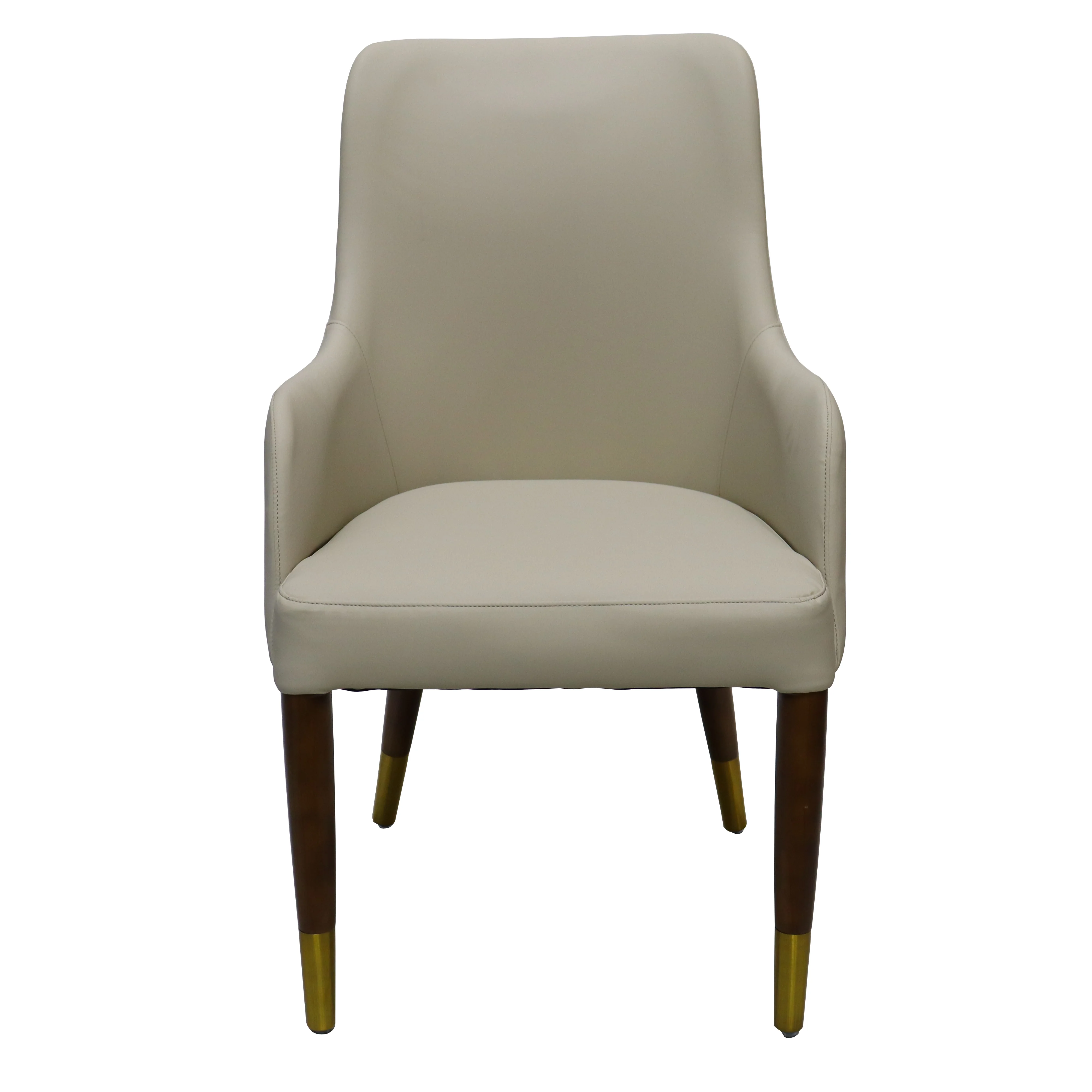 Viva Collection Modern Wooden Dining Arm Chair in Taupe