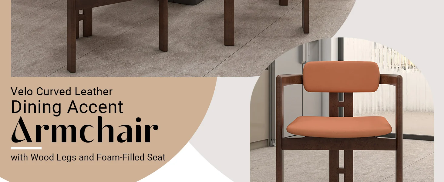 Velo Series Modern Dining Chair in Black Walnut Wood with Dark Brown Seat