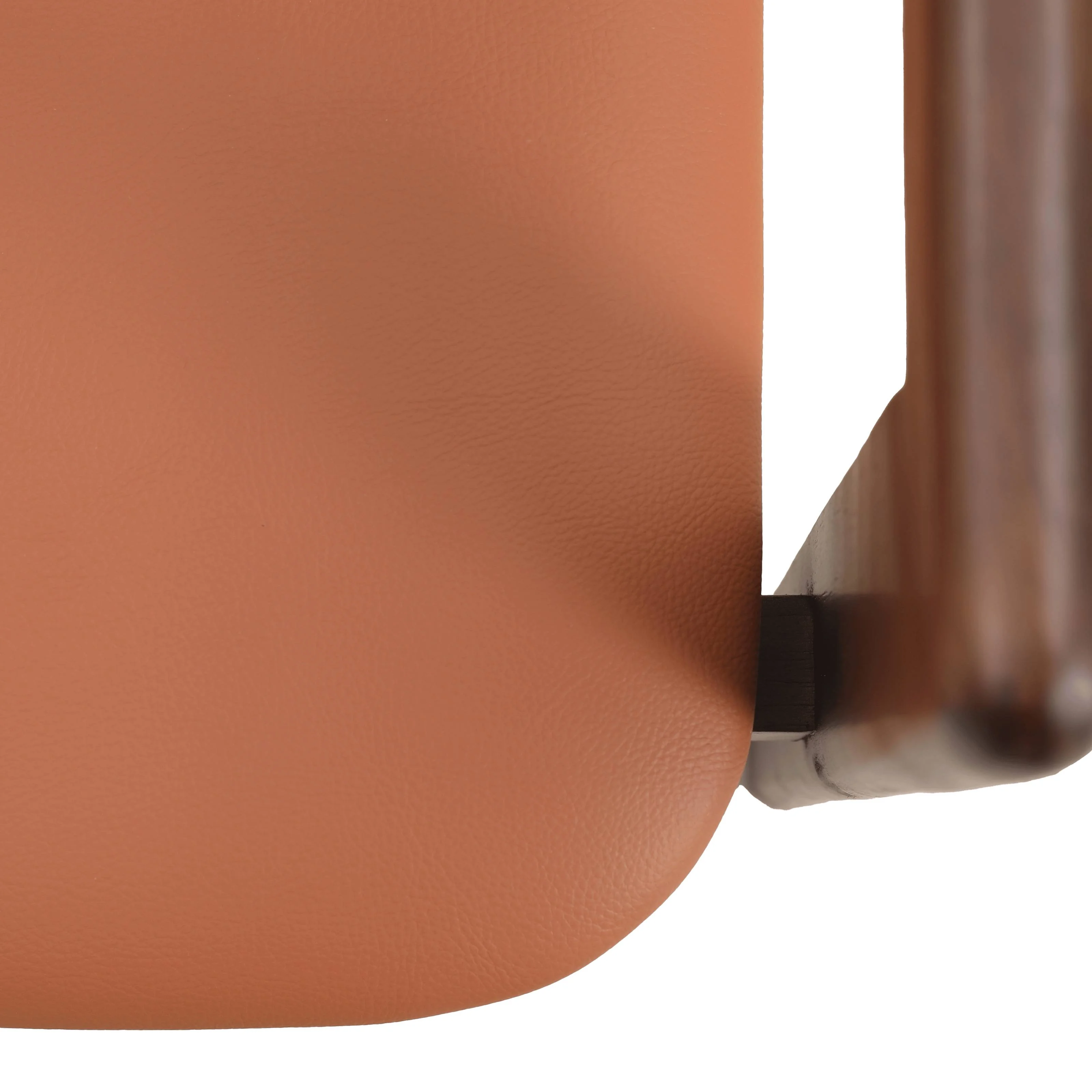 Velo Series Modern Dining Chair in Black Walnut Wood with Dark Brown Seat