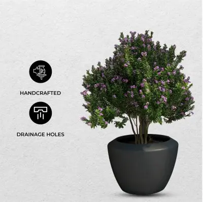 Vessel Series Poly Stone Planter in Black 22" Dia 15" high