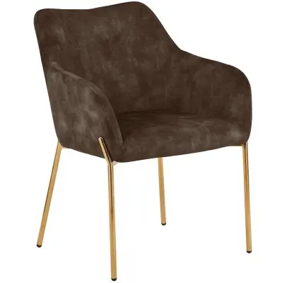 Zaire Collection Modern Dining Chair, Gold Legs and Dark Brown Velvet