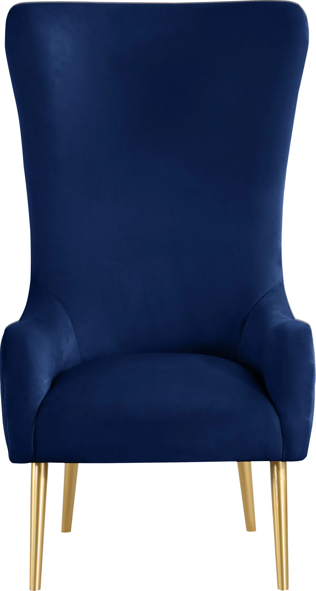 Alexander - Accent Chair - Navy