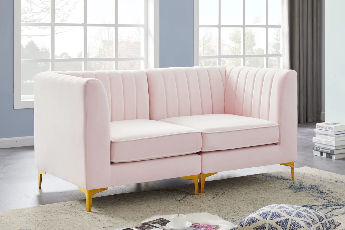 Alina - 2 Piece Modular Sectional - Pink