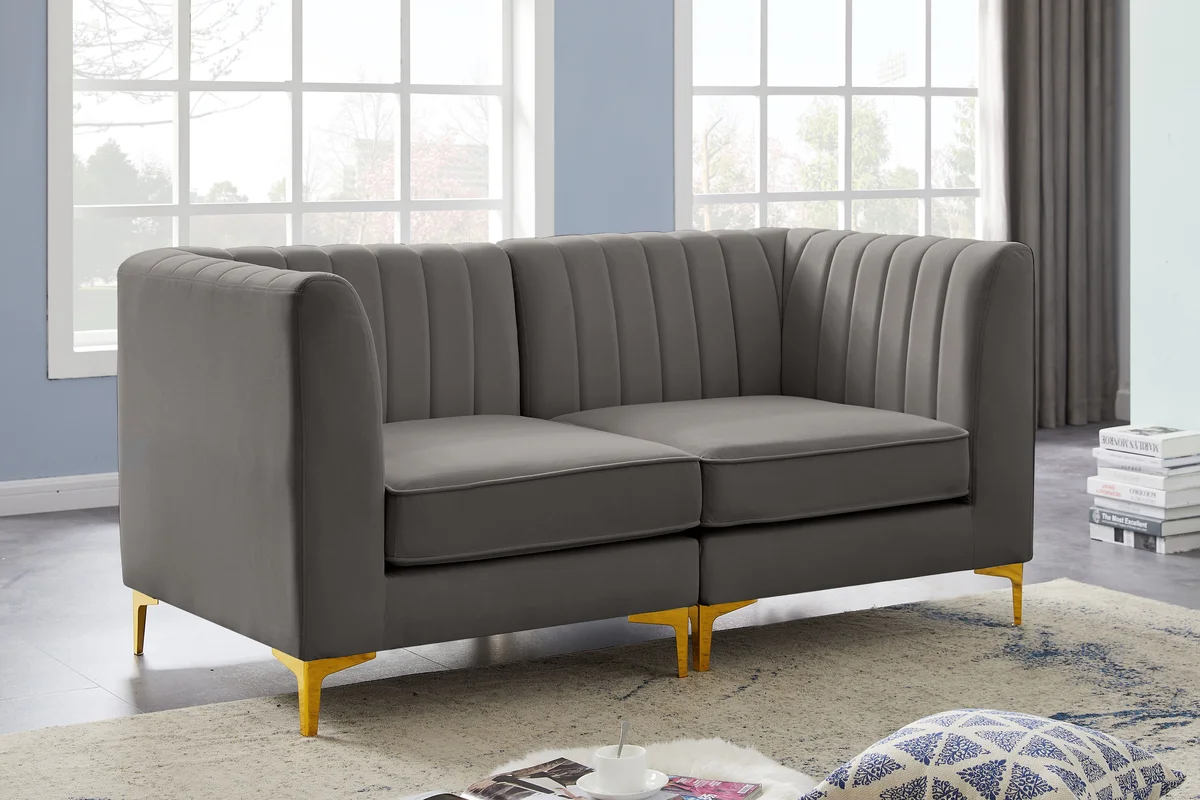 Alina - 2 Piece Modular Sectional - Gray